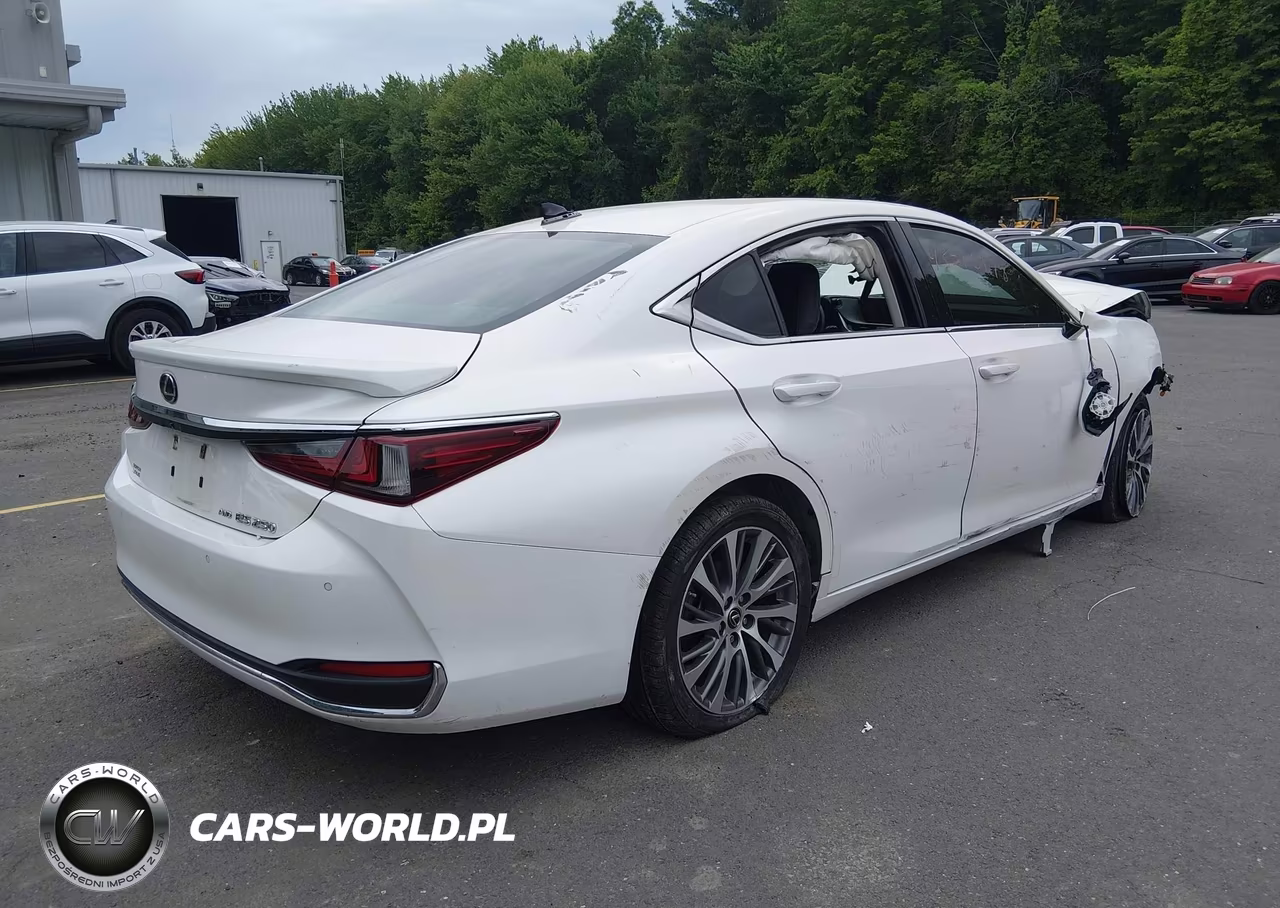 2021 Lexus Es 250 VIN:58AD11D16MU004581 - 4