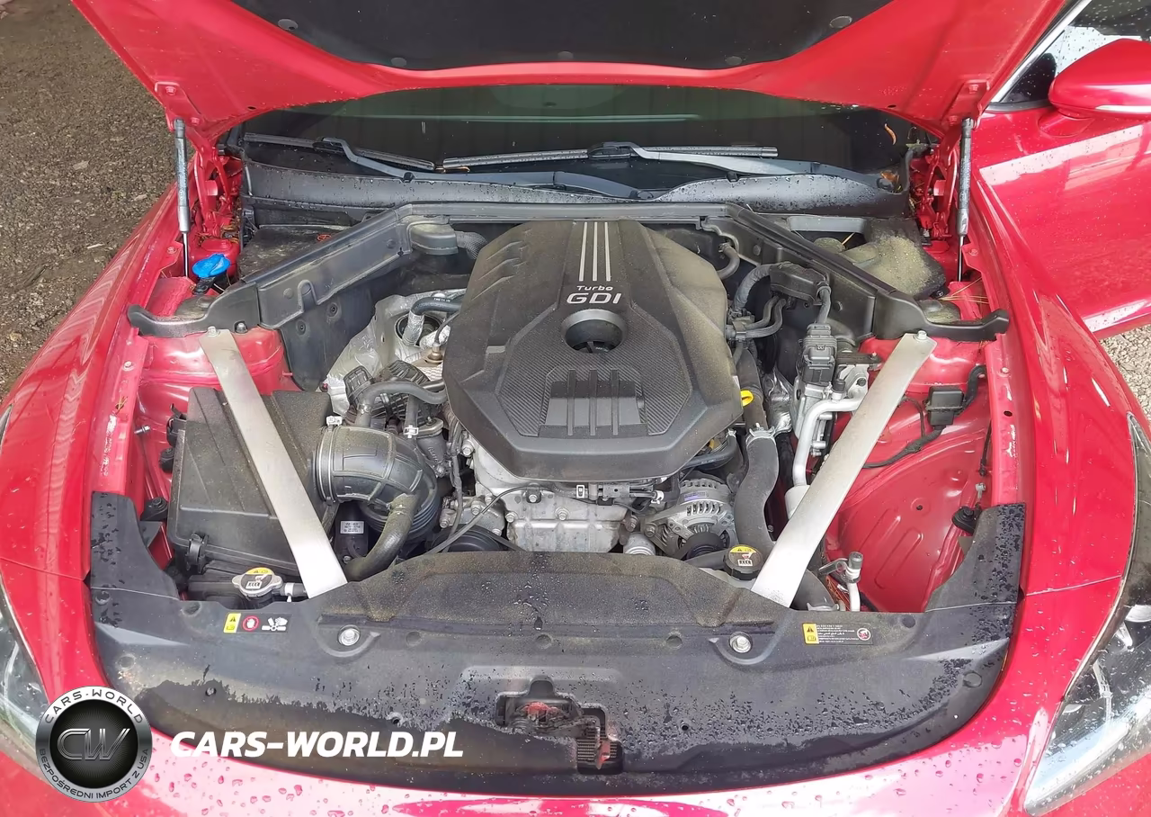 2019 Kia Stinger VIN:KNAE15LAXK6068274 - 10