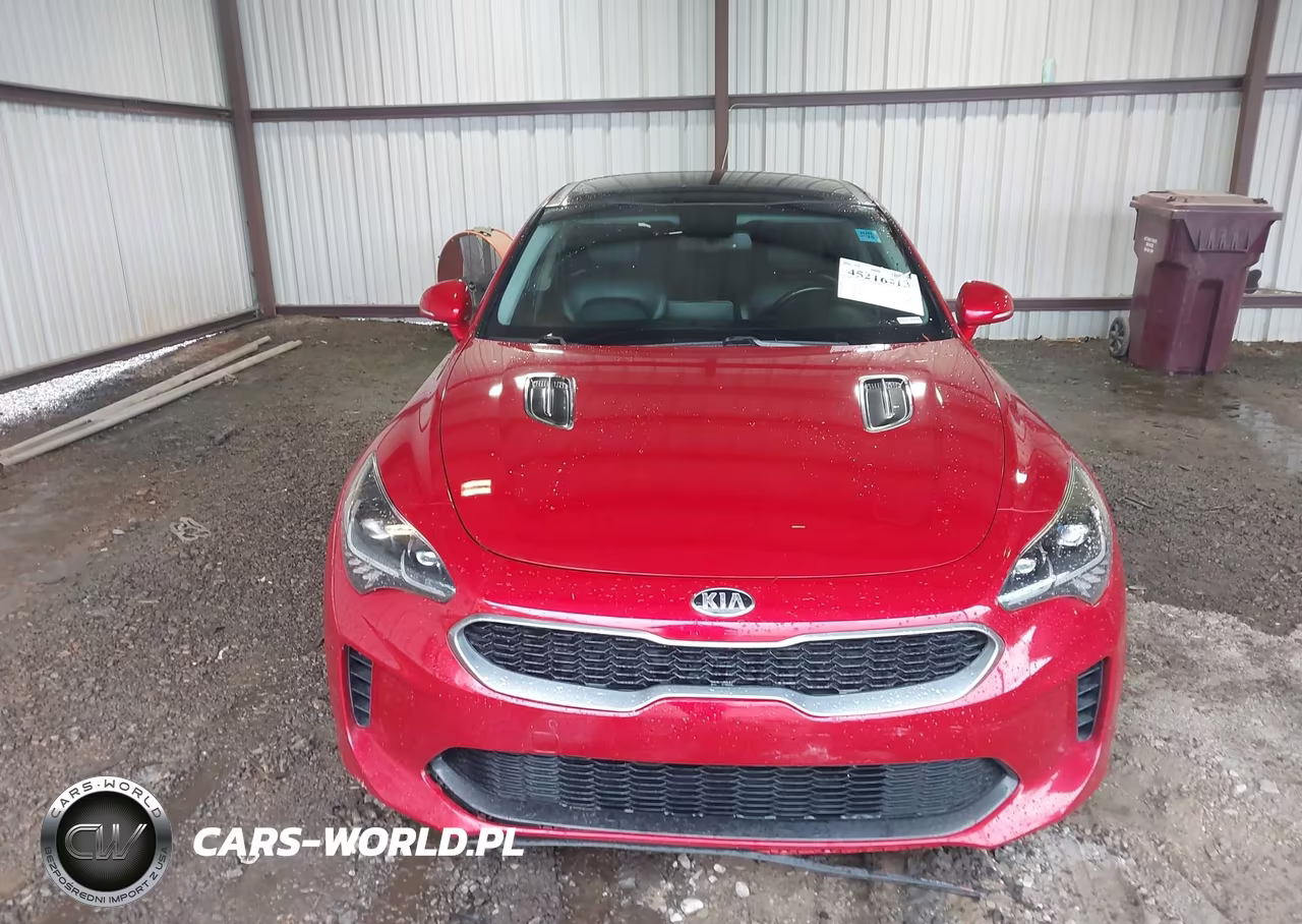 2019 Kia Stinger VIN:KNAE15LAXK6068274 - 12