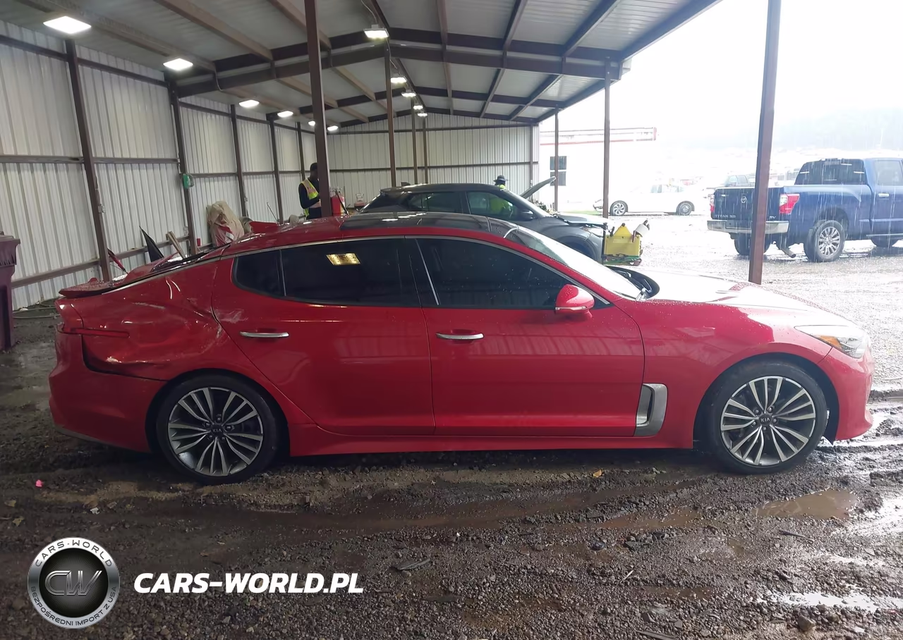 2019 Kia Stinger VIN:KNAE15LAXK6068274 - 13