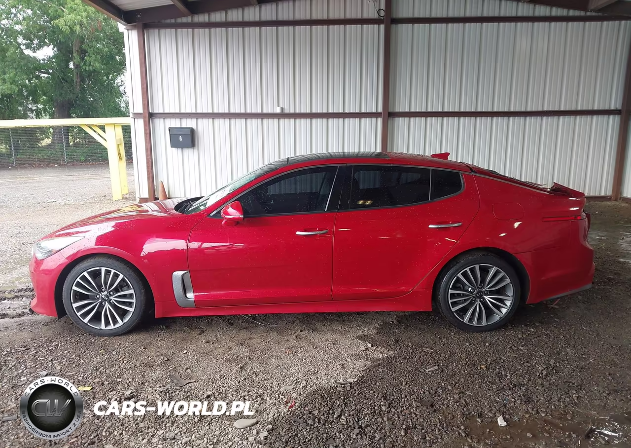 2019 Kia Stinger VIN:KNAE15LAXK6068274 - 14