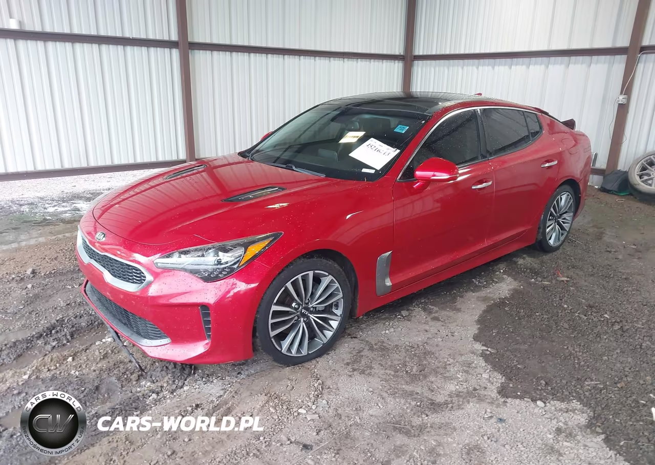 2019 Kia Stinger VIN:KNAE15LAXK6068274 - 2