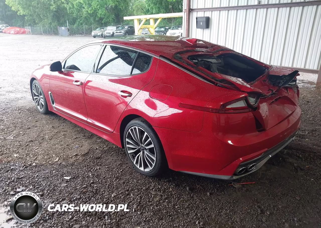 2019 Kia Stinger VIN:KNAE15LAXK6068274 - 3
