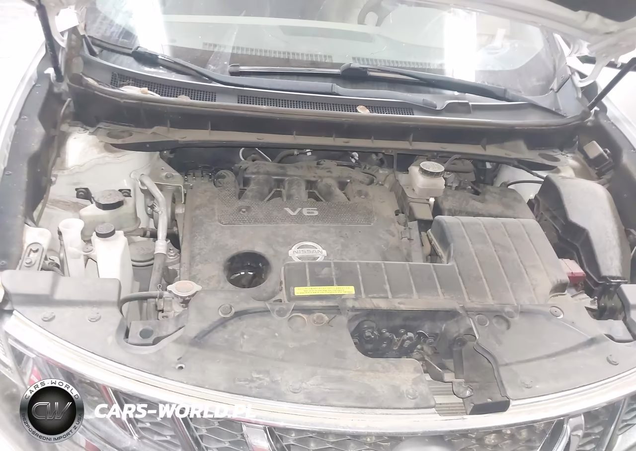 2013 Nissan Murano Le VIN:JN8AZ1MW8DW320821 - 10
