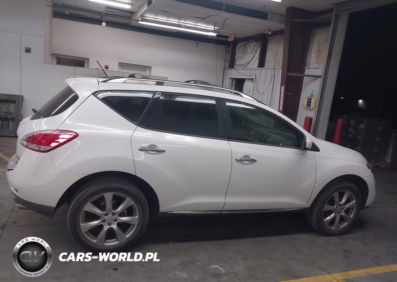 2013 Nissan Murano Le VIN:JN8AZ1MW8DW320821 - 13