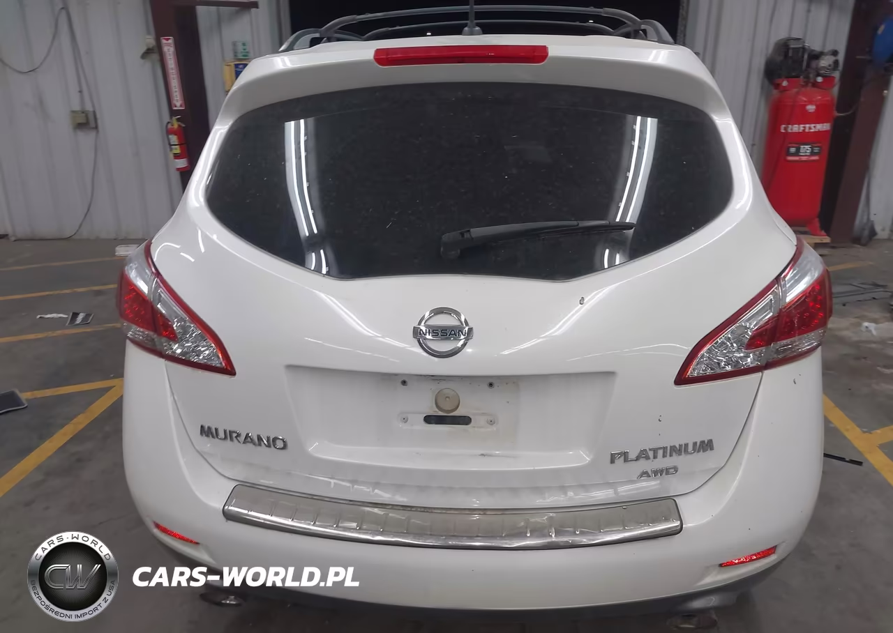 2013 Nissan Murano Le VIN:JN8AZ1MW8DW320821 - 16