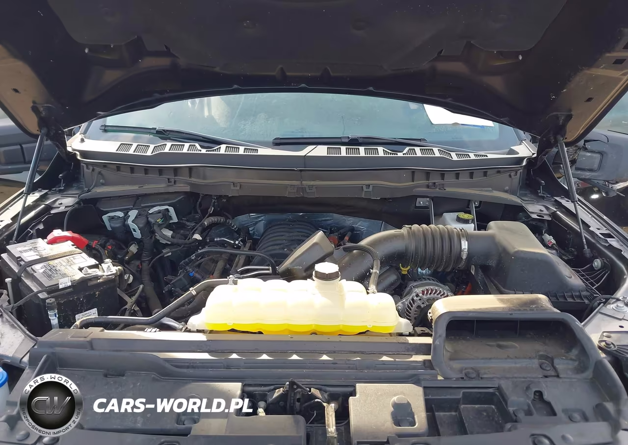2025 Ford F-150 Tremor VIN:1FTFW4L51SFC40018 - 10