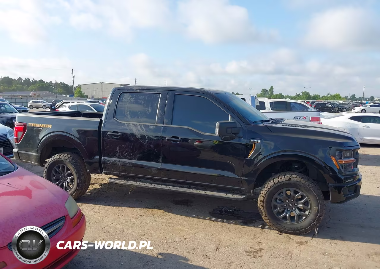 2025 Ford F-150 Tremor VIN:1FTFW4L51SFC40018 - 13