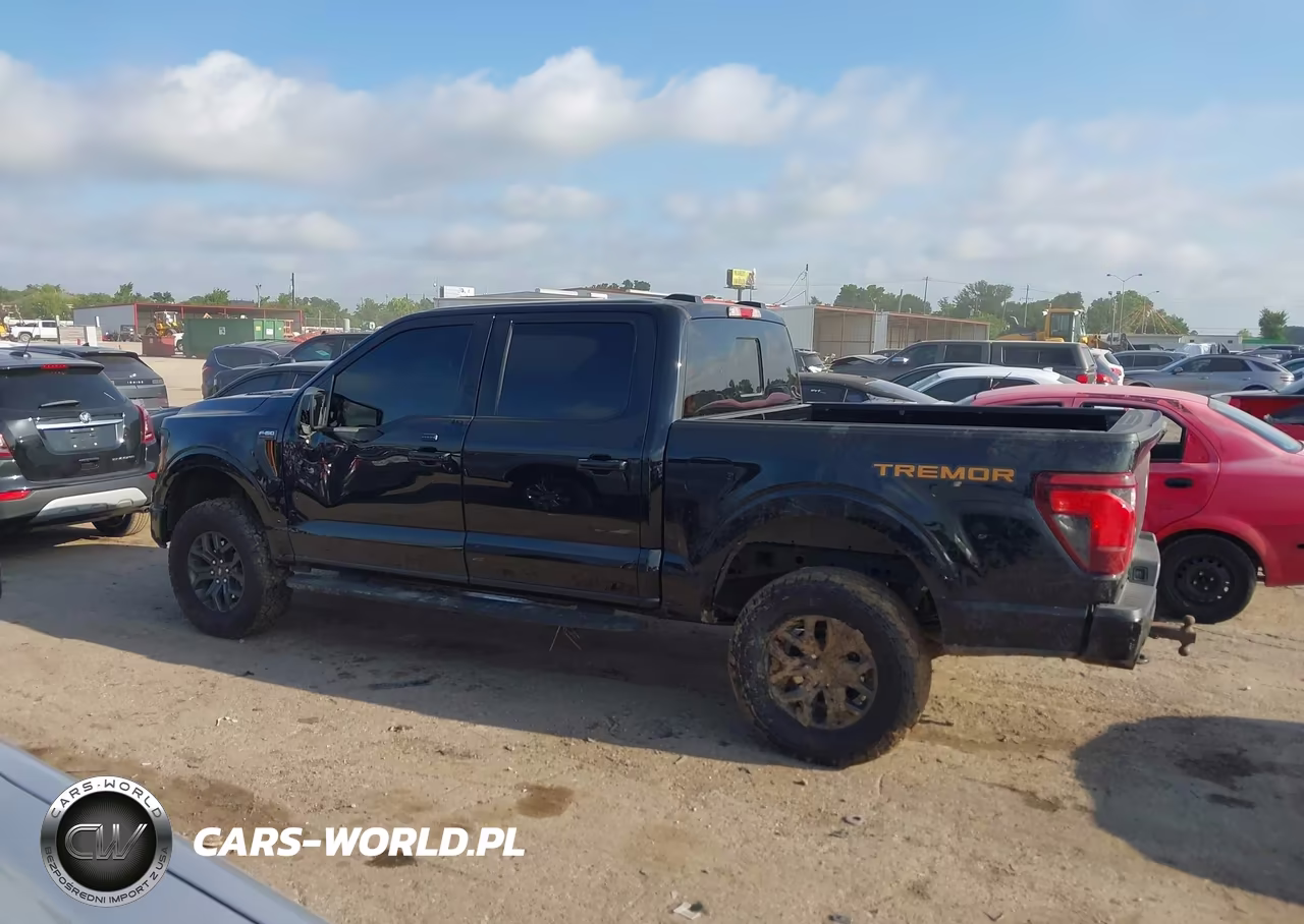 2025 Ford F-150 Tremor VIN:1FTFW4L51SFC40018 - 14