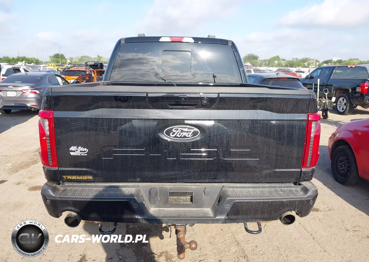 2025 Ford F-150 Tremor VIN:1FTFW4L51SFC40018 - 16