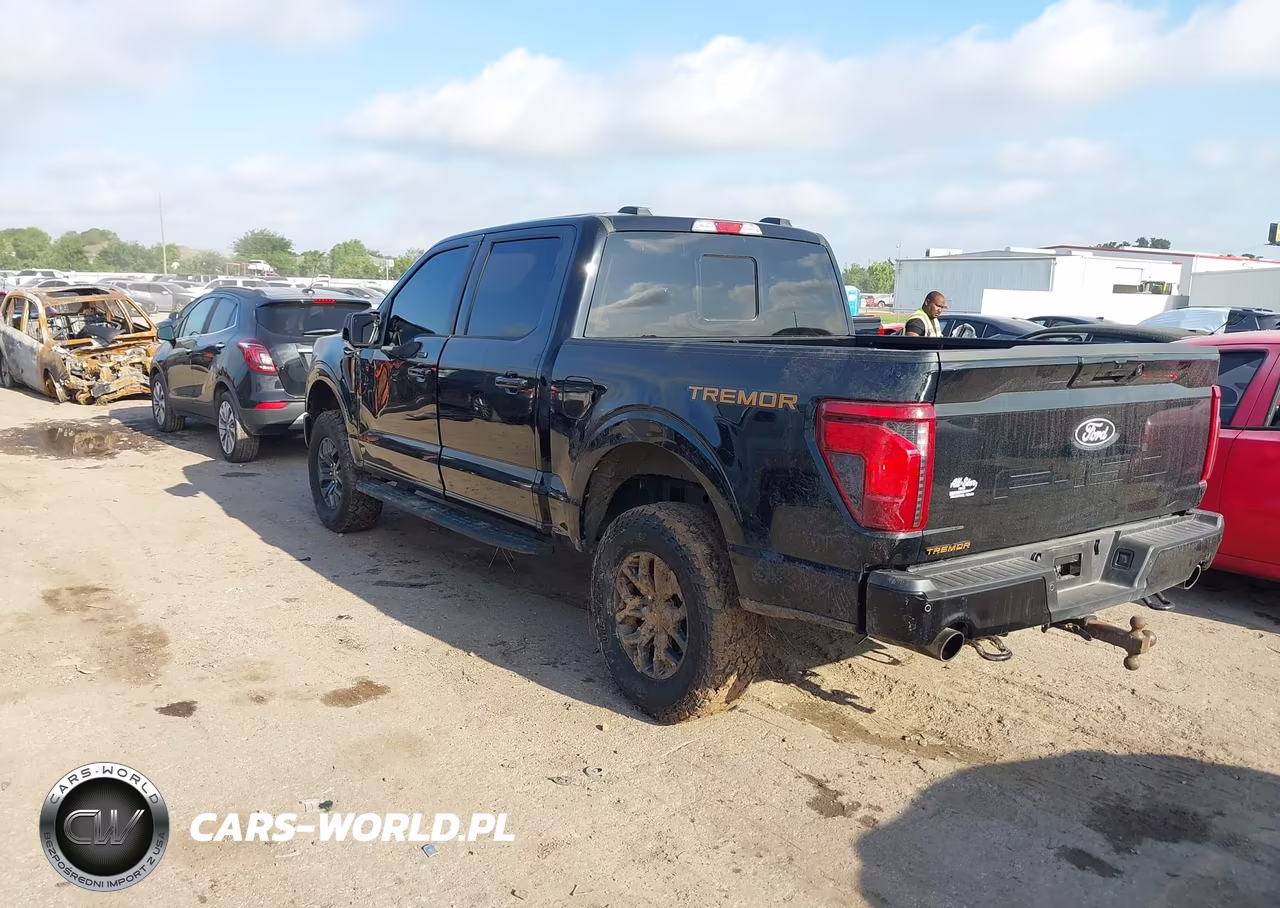 2025 Ford F-150 Tremor VIN:1FTFW4L51SFC40018 - 3