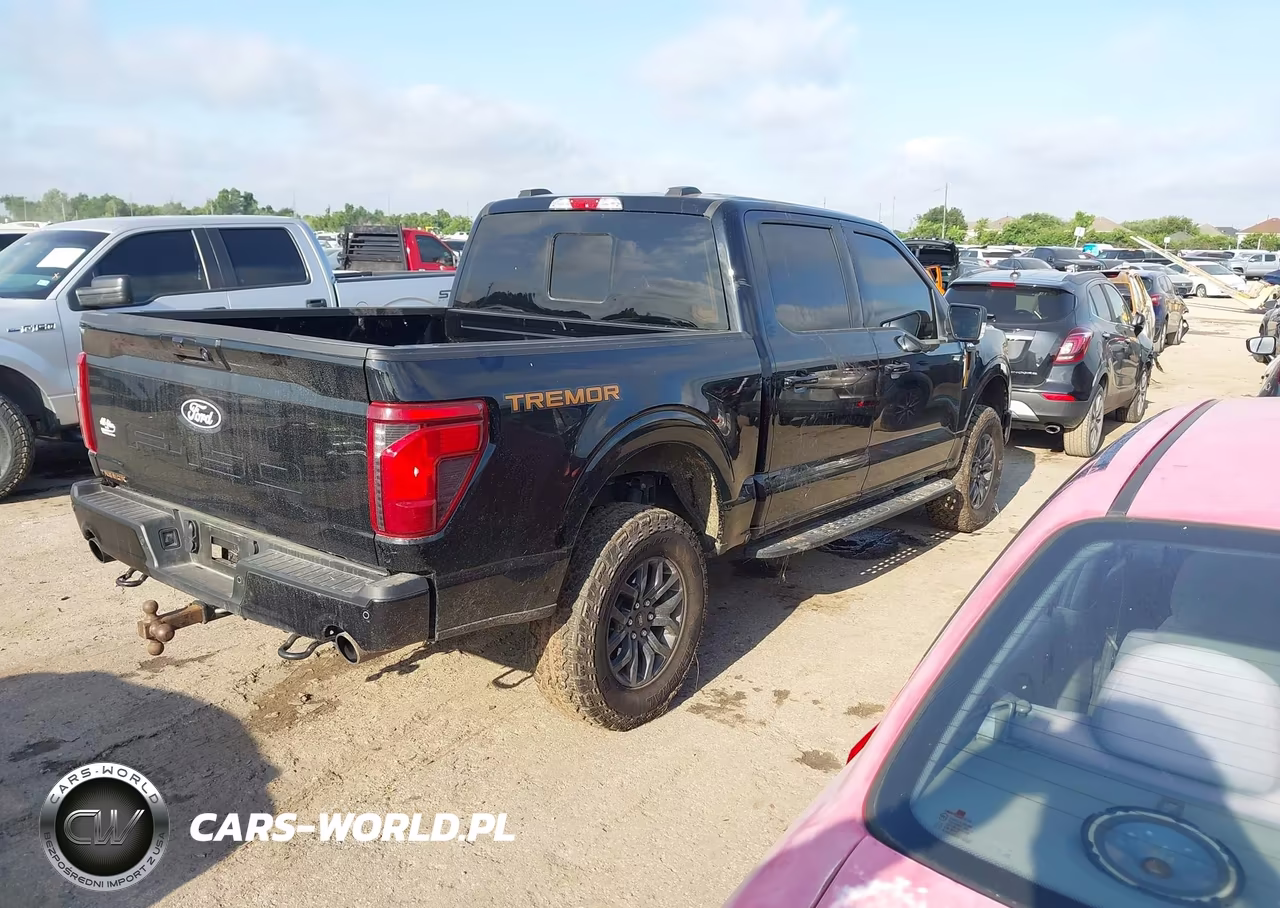 2025 Ford F-150 Tremor VIN:1FTFW4L51SFC40018 - 4