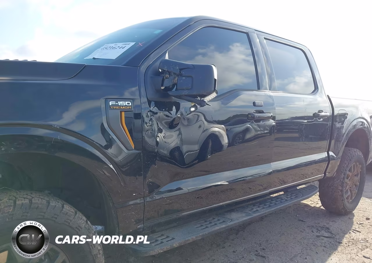 2025 Ford F-150 Tremor VIN:1FTFW4L51SFC40018 - 6