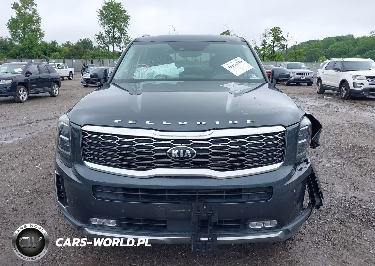 2020 Kia Telluride Sx VIN:5XYP5DHC0LG045993 - 12