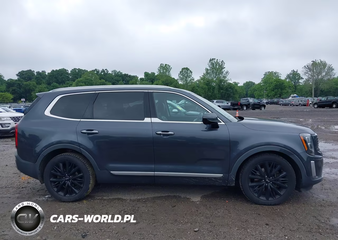 2020 Kia Telluride Sx VIN:5XYP5DHC0LG045993 - 13