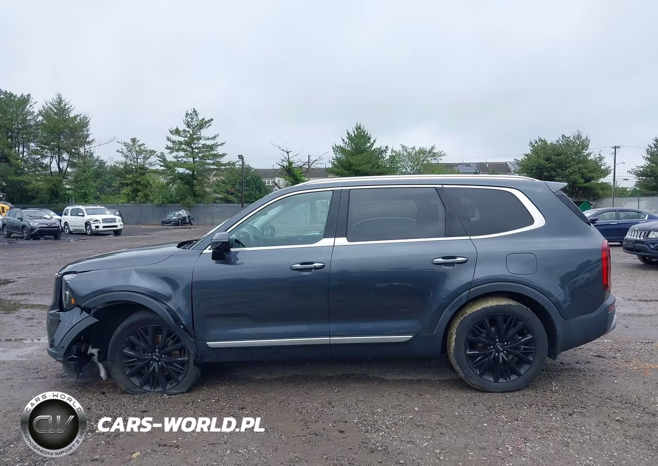 2020 Kia Telluride Sx VIN:5XYP5DHC0LG045993 - 14