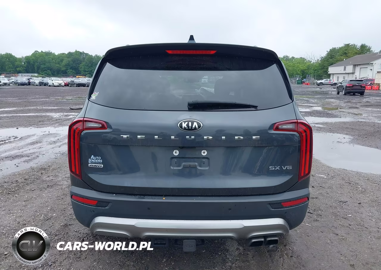 2020 Kia Telluride Sx VIN:5XYP5DHC0LG045993 - 16