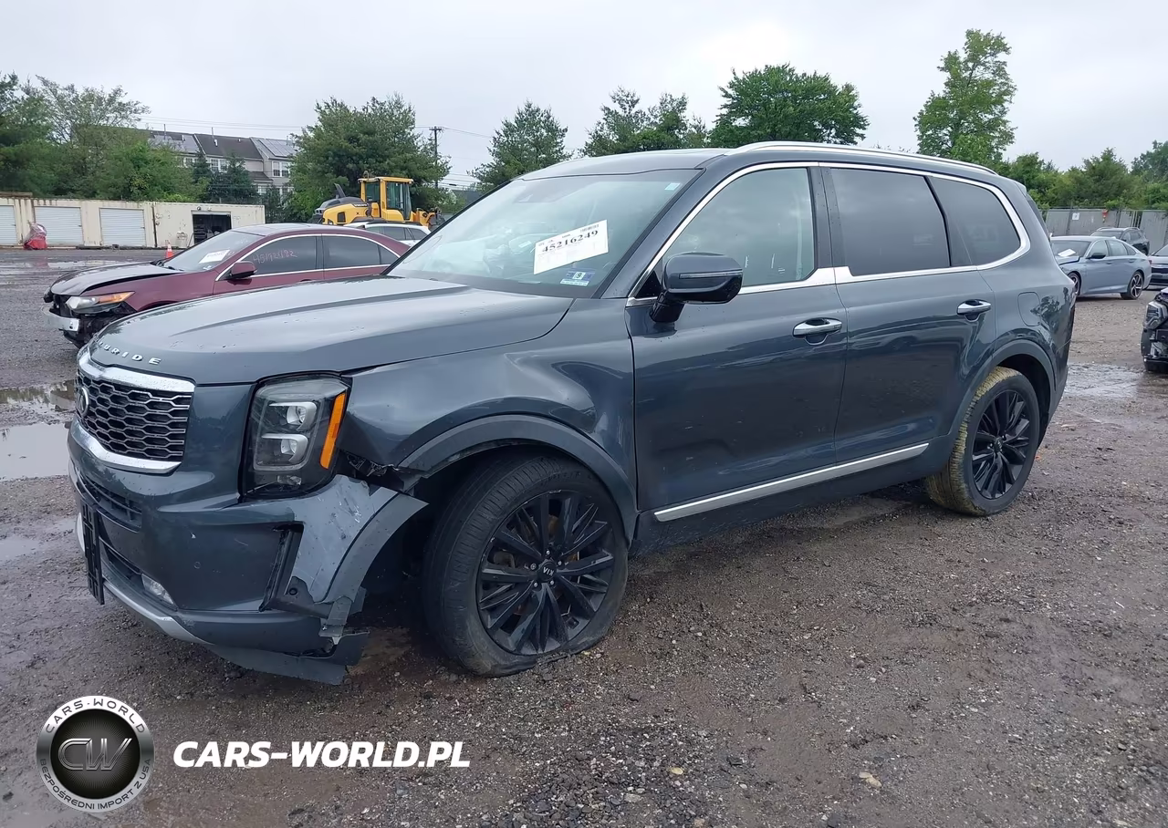 2020 Kia Telluride Sx VIN:5XYP5DHC0LG045993 - 2