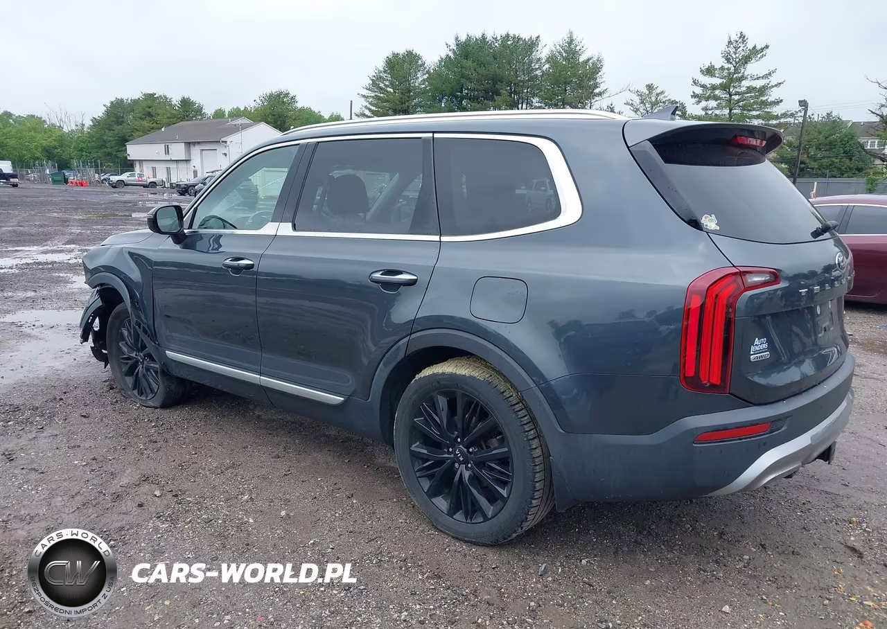 2020 Kia Telluride Sx VIN:5XYP5DHC0LG045993 - 3
