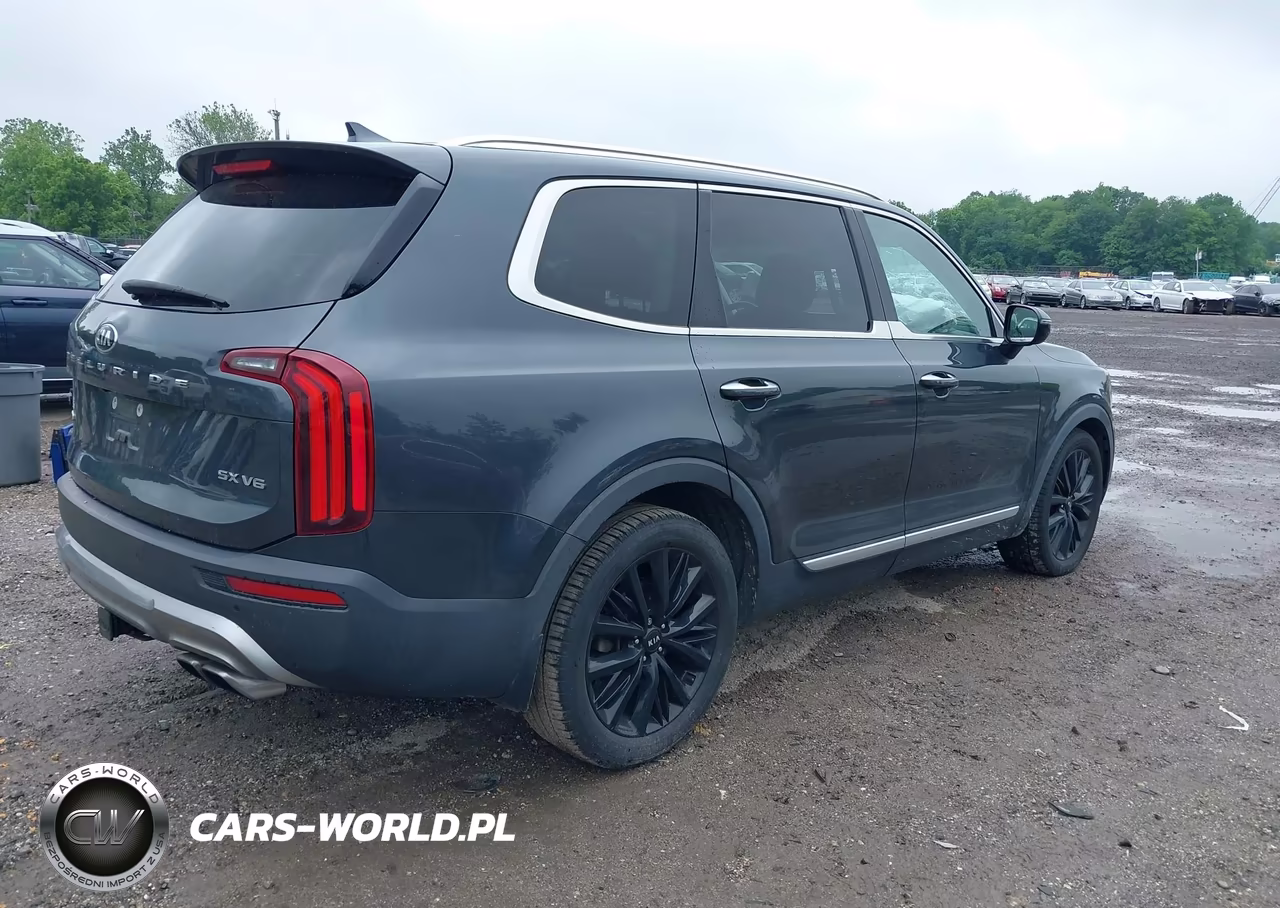 2020 Kia Telluride Sx VIN:5XYP5DHC0LG045993 - 4