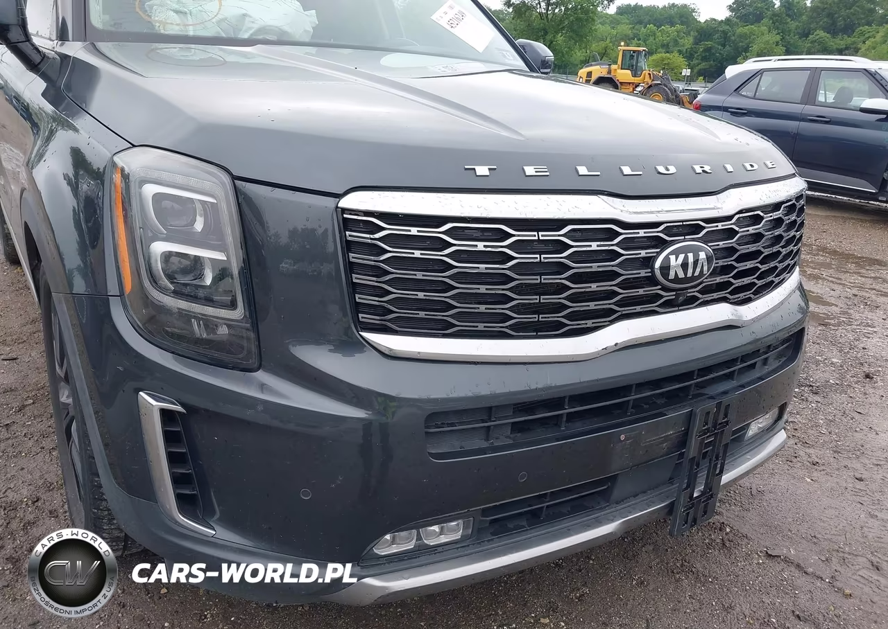 2020 Kia Telluride Sx VIN:5XYP5DHC0LG045993 - 6