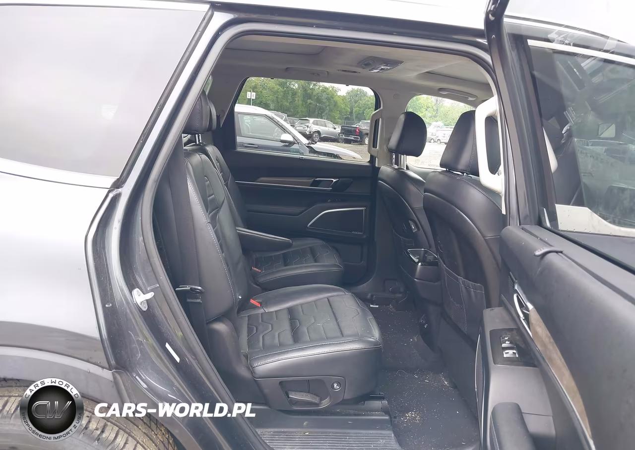 2020 Kia Telluride Sx VIN:5XYP5DHC0LG045993 - 8