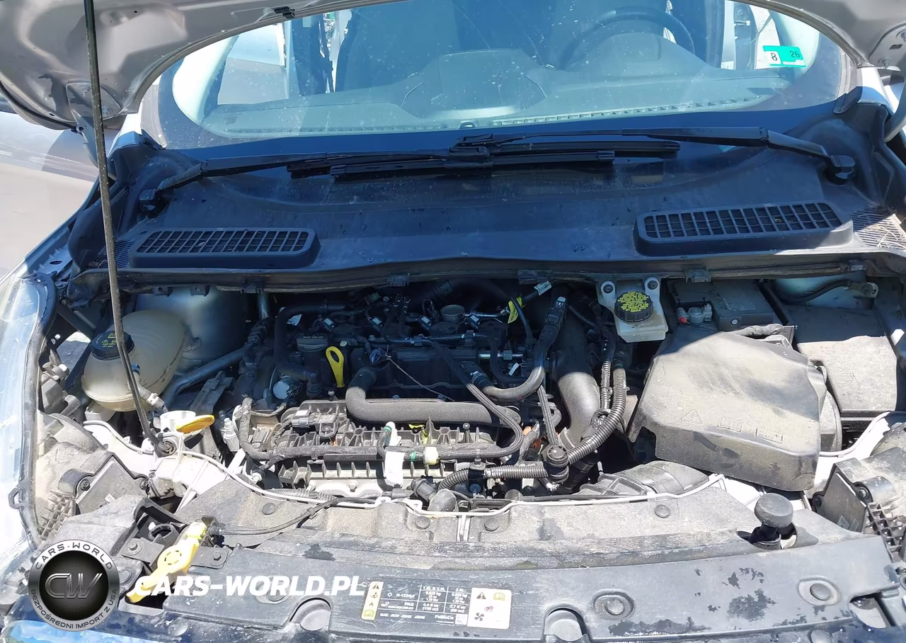 2019 Ford Escape Se VIN:1FMCU9GDXKUC06450 - 10