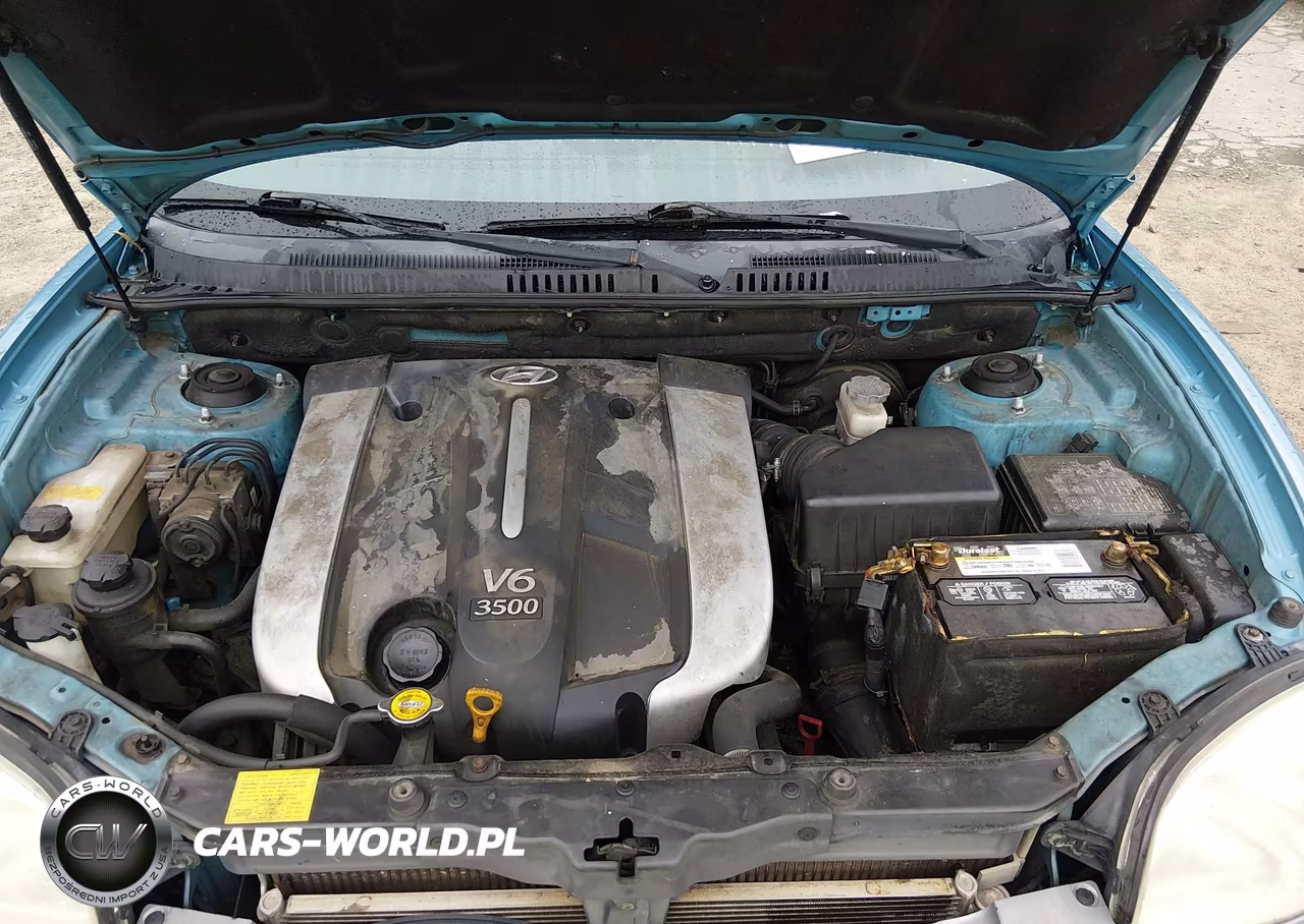 2004 Hyundai Santa Fe Gls-Lx VIN:KM8SC13E54U595077 - 10