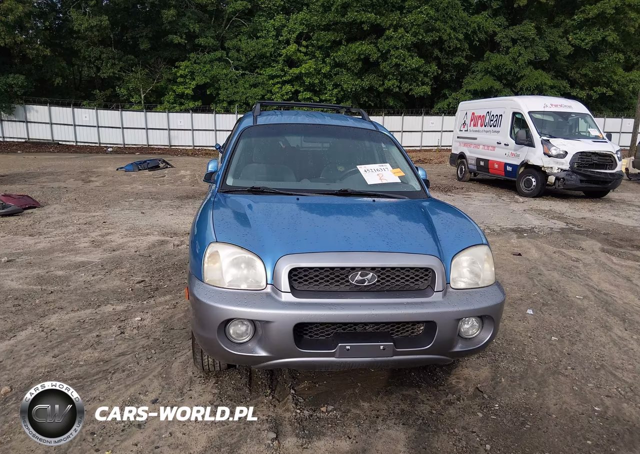 2004 Hyundai Santa Fe Gls-Lx VIN:KM8SC13E54U595077 - 12