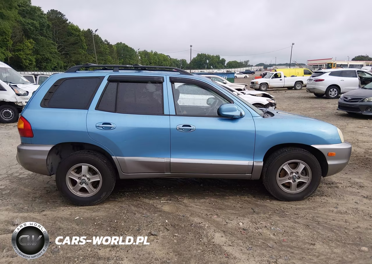2004 Hyundai Santa Fe Gls-Lx VIN:KM8SC13E54U595077 - 13
