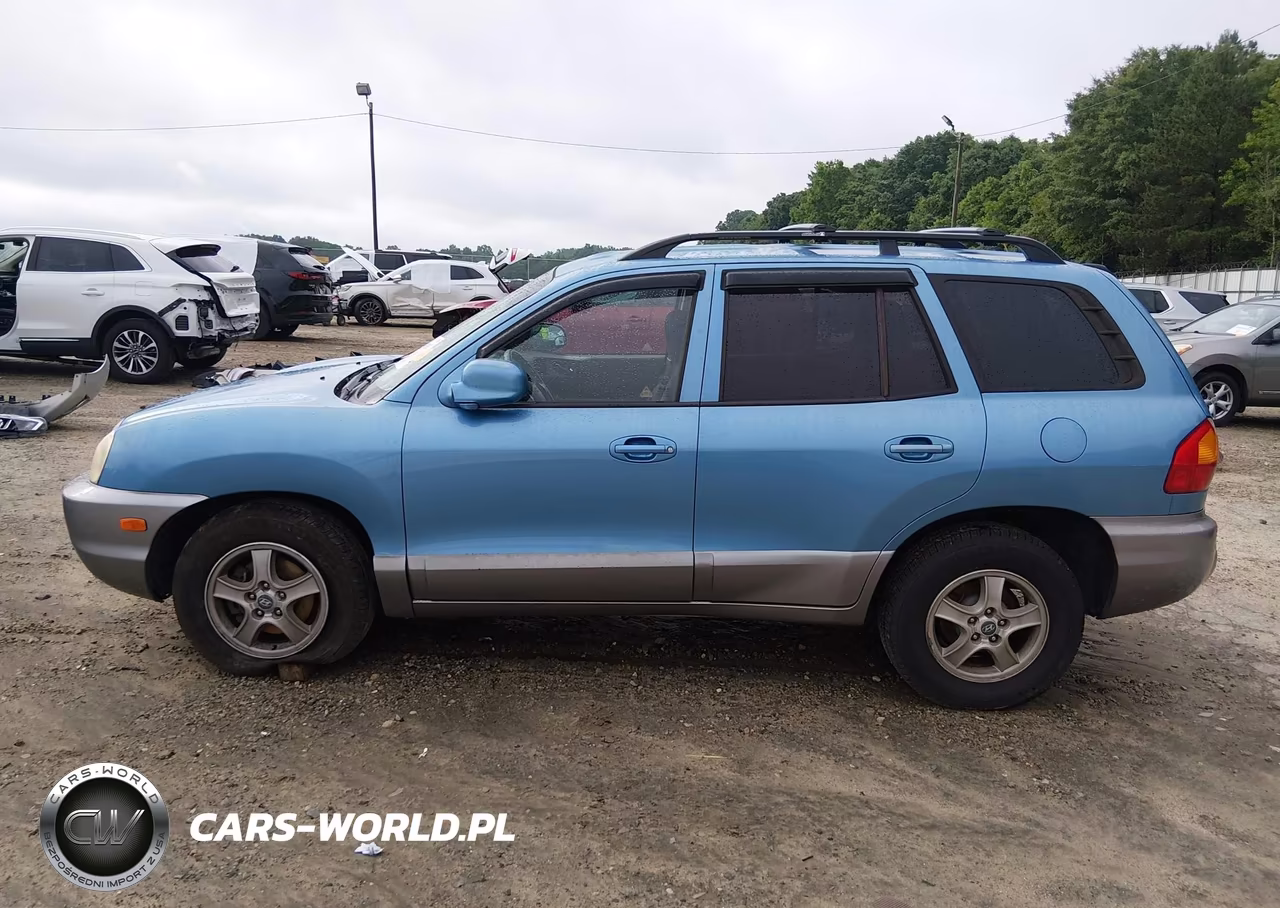 2004 Hyundai Santa Fe Gls-Lx VIN:KM8SC13E54U595077 - 14