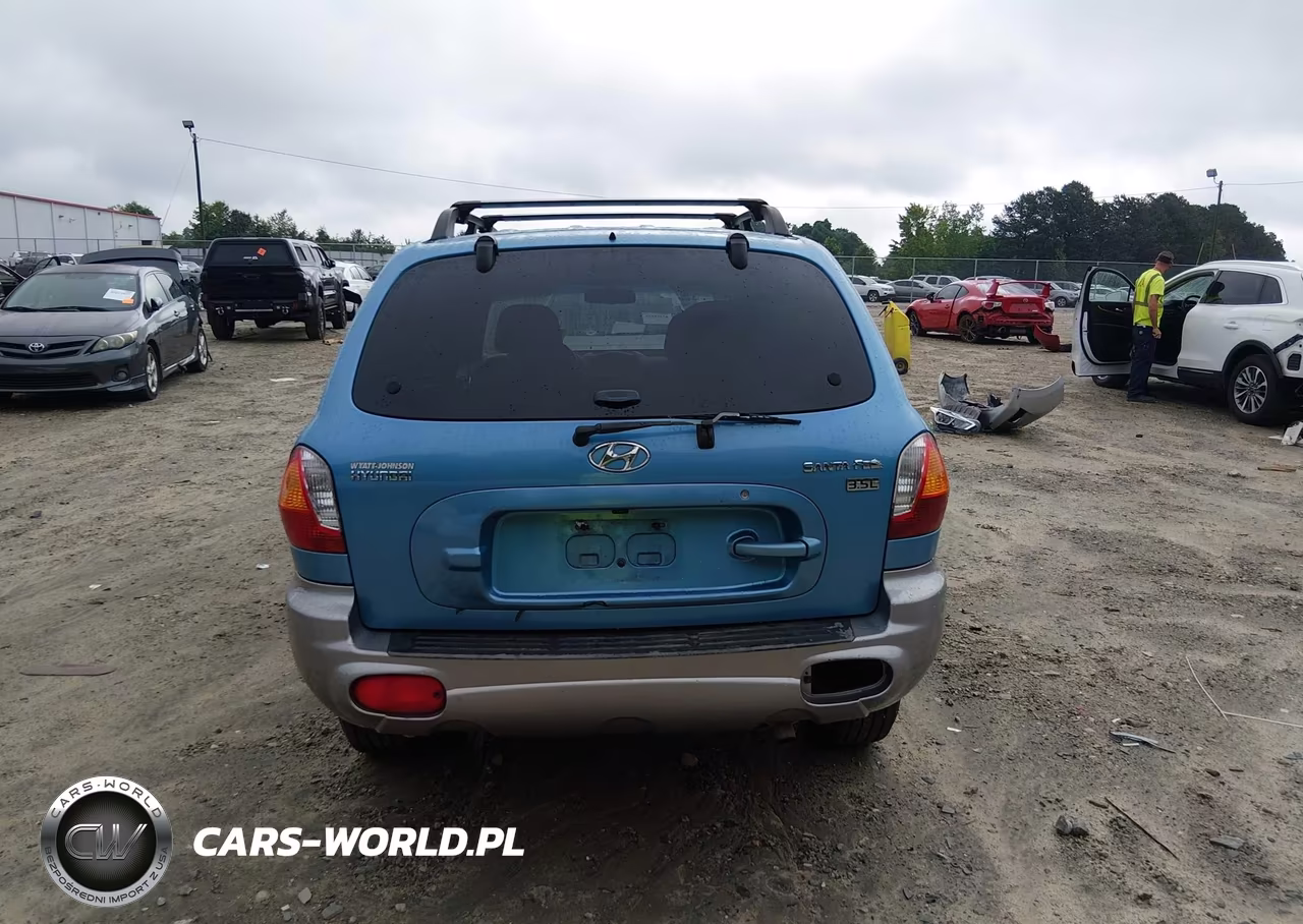 2004 Hyundai Santa Fe Gls-Lx VIN:KM8SC13E54U595077 - 16