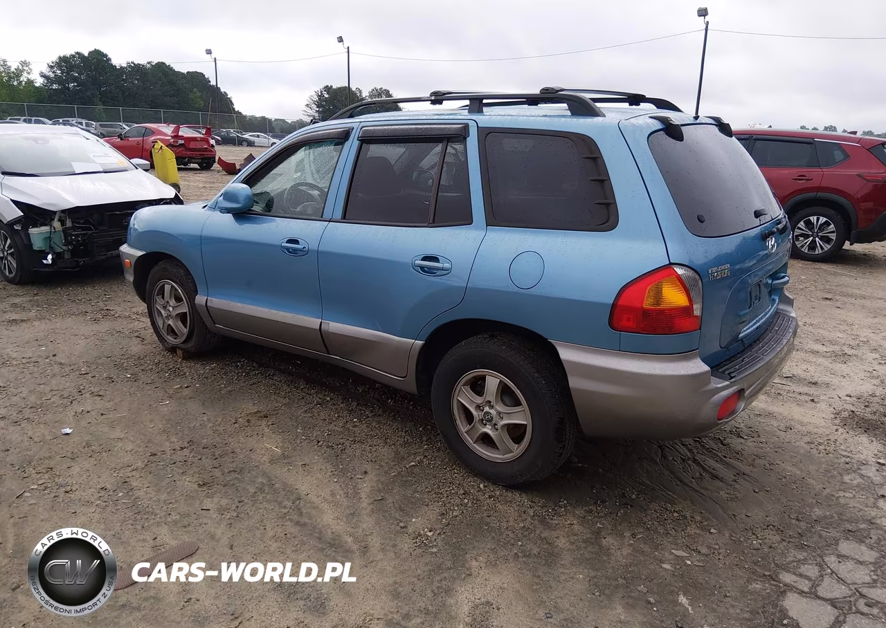 2004 Hyundai Santa Fe Gls-Lx VIN:KM8SC13E54U595077 - 3