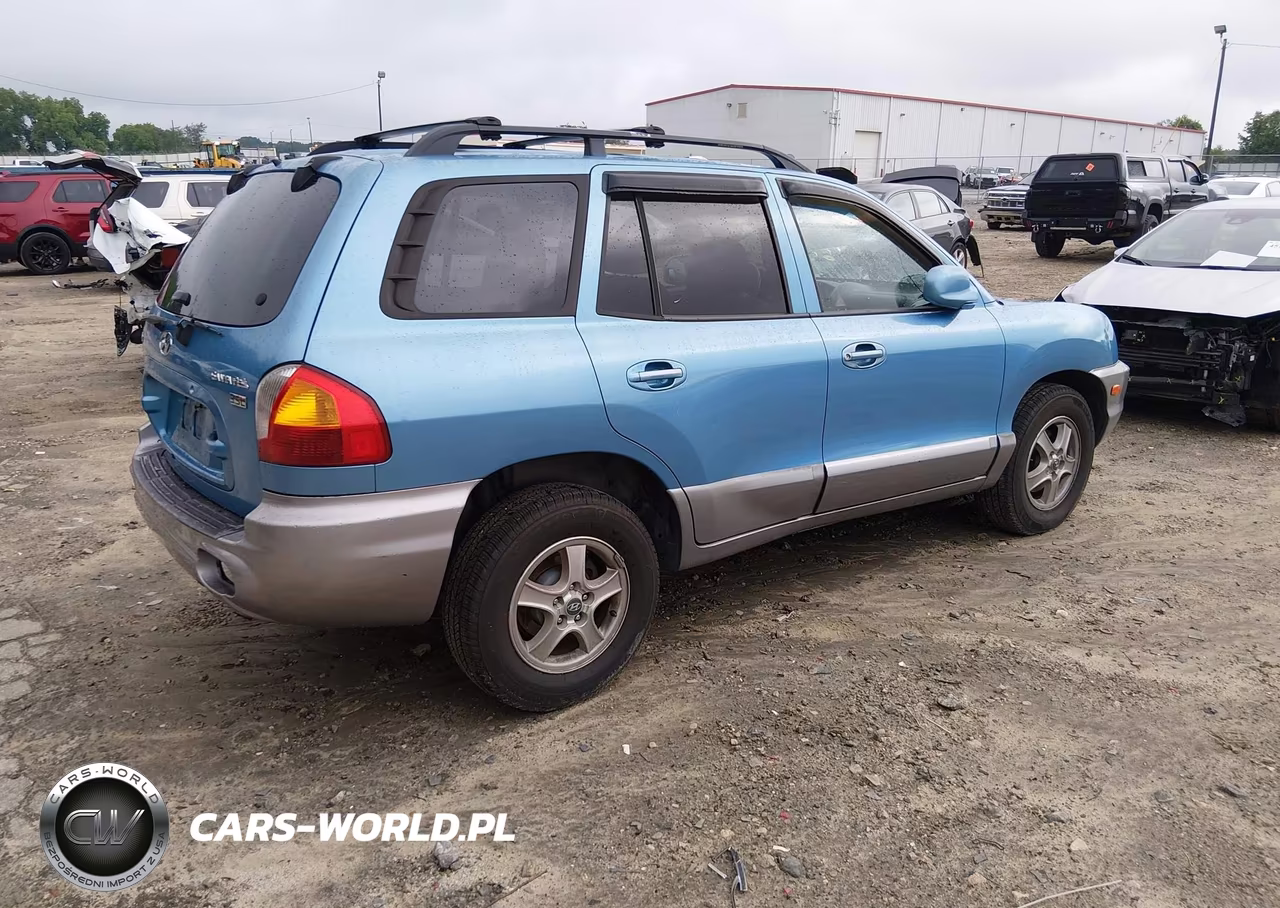 2004 Hyundai Santa Fe Gls-Lx VIN:KM8SC13E54U595077 - 4