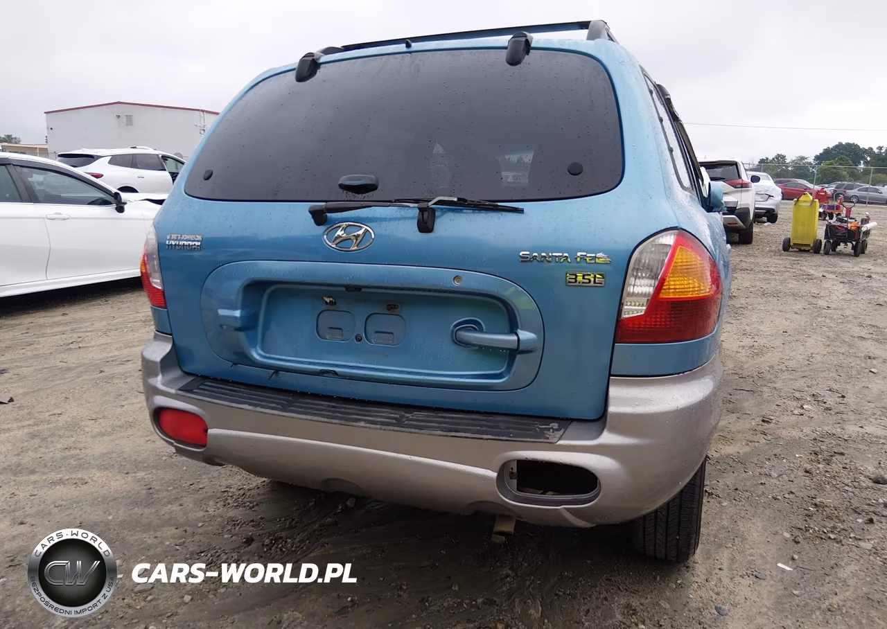2004 Hyundai Santa Fe Gls-Lx VIN:KM8SC13E54U595077 - 6