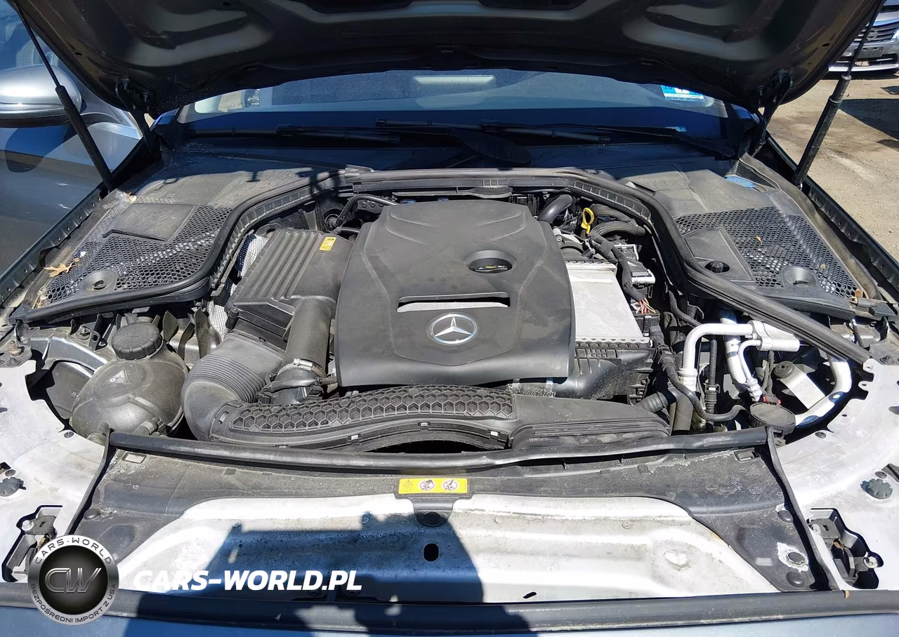 2018 Mercedes-Benz C 300 4Matic VIN:55SWF4KB5JU245456 - 10