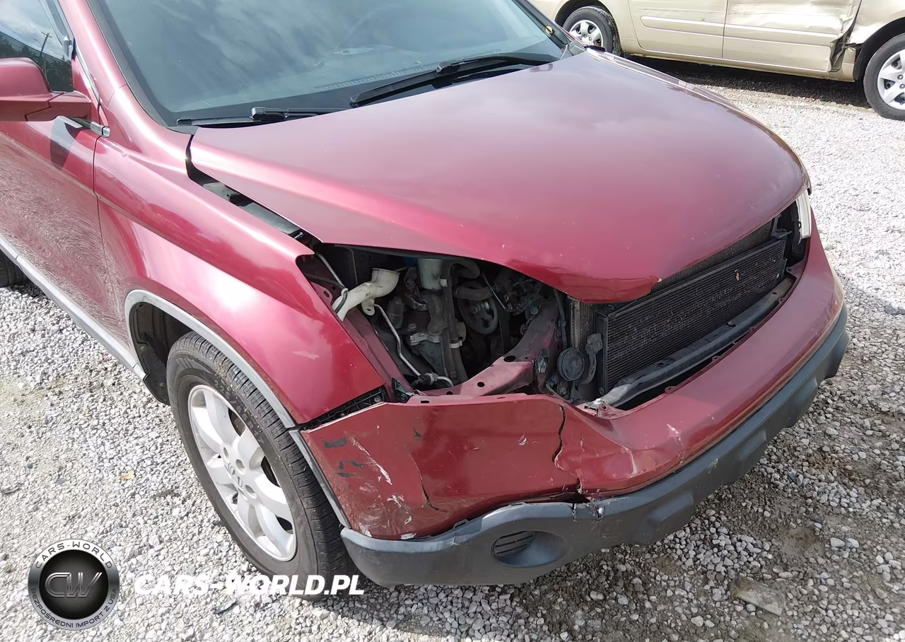 2009 Honda Cr-V Ex-L VIN:5J6RE48729L030429 - 6