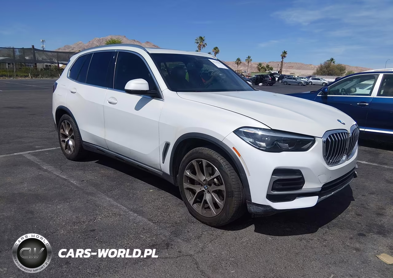 2023 BMW X5 Sdrive40I – zdjęcie 1 z 16