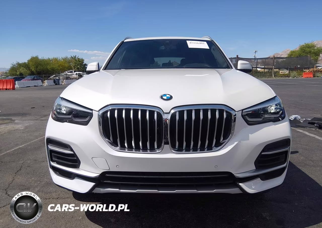 2023 BMW X5 Sdrive40I VIN:5UXCR4C07P9S00660 - 12