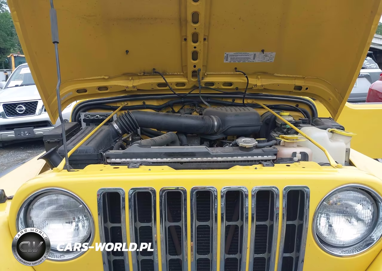 2001 Jeep Wrangler Se VIN:1J4FA29P91P366898 - 10