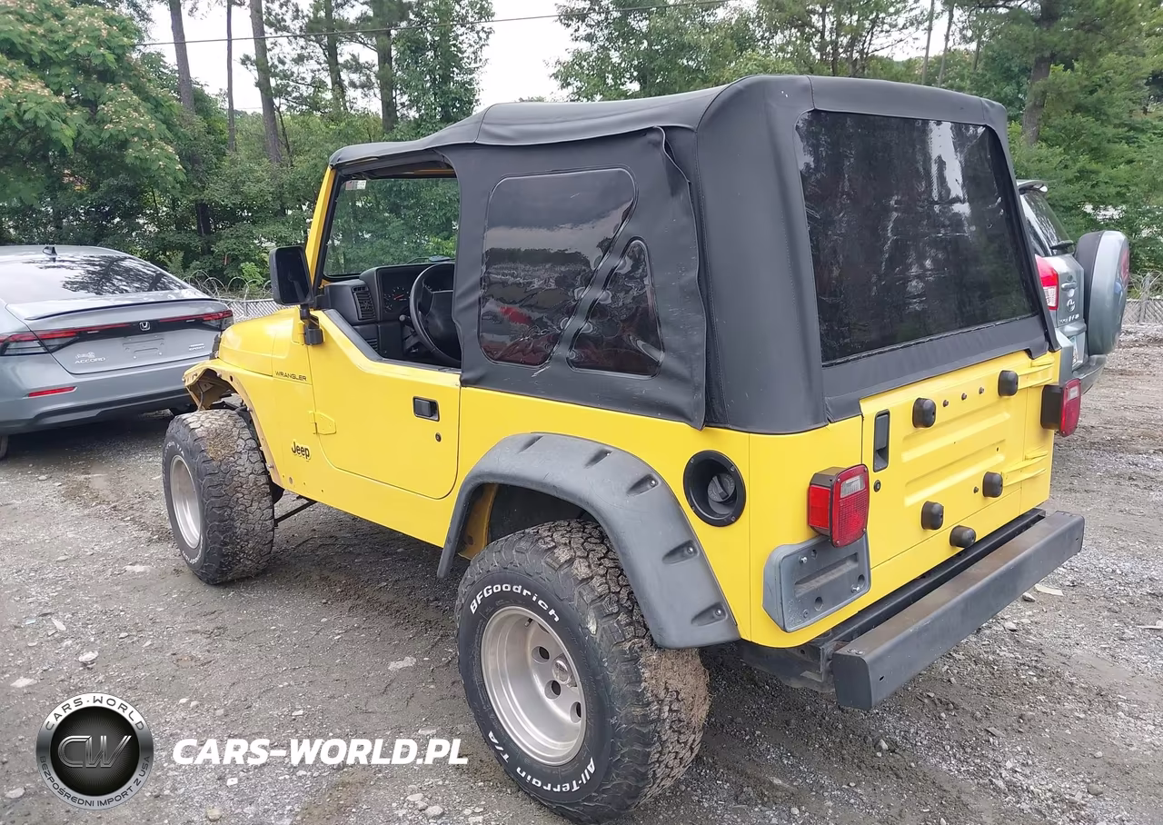 2001 Jeep Wrangler Se VIN:1J4FA29P91P366898 - 3