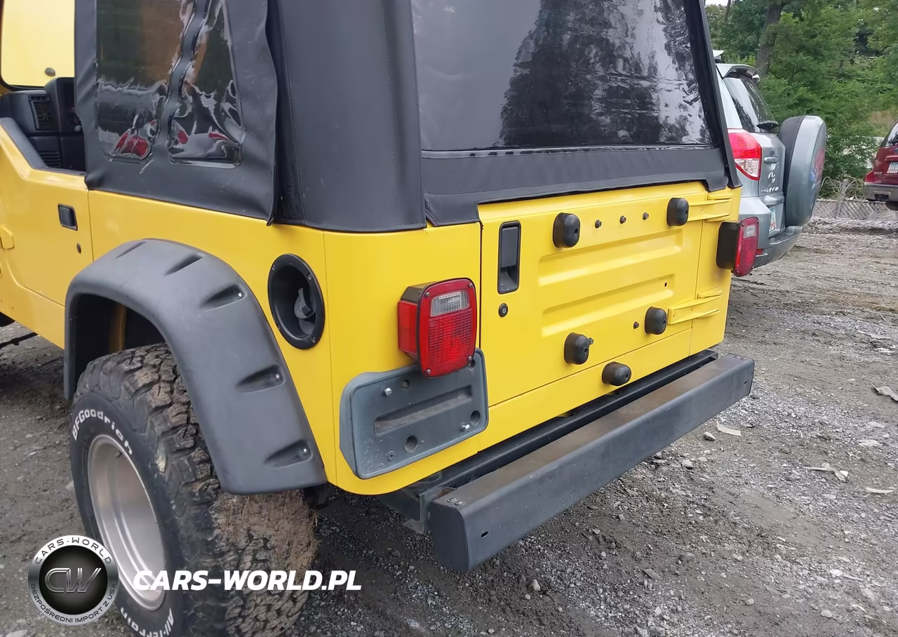 2001 Jeep Wrangler Se VIN:1J4FA29P91P366898 - 6