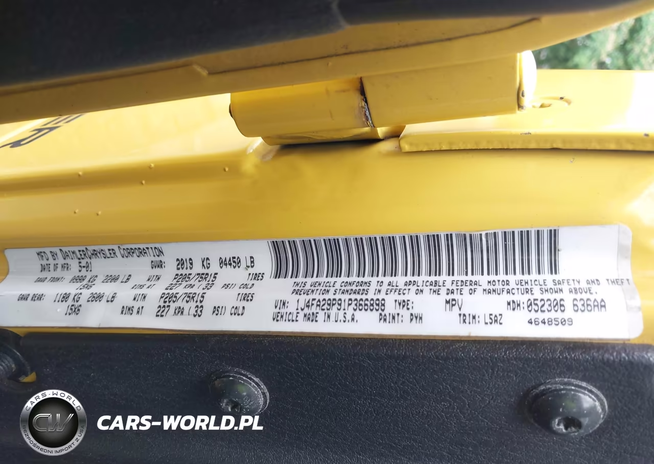 2001 Jeep Wrangler Se VIN:1J4FA29P91P366898 - 9