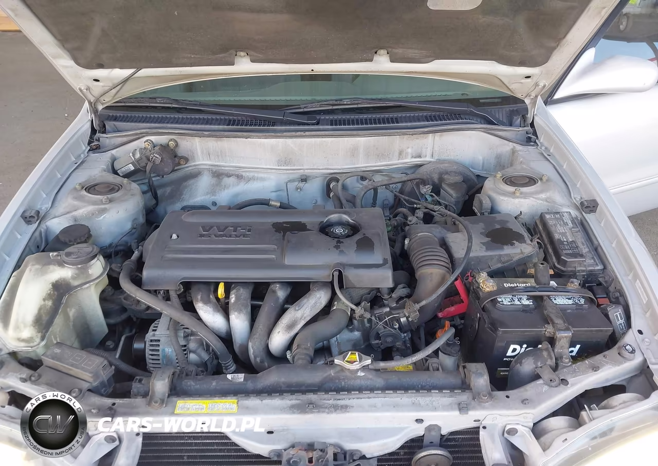 2002 Toyota Corolla Le VIN:1NXBR12E92Z631866 - 10