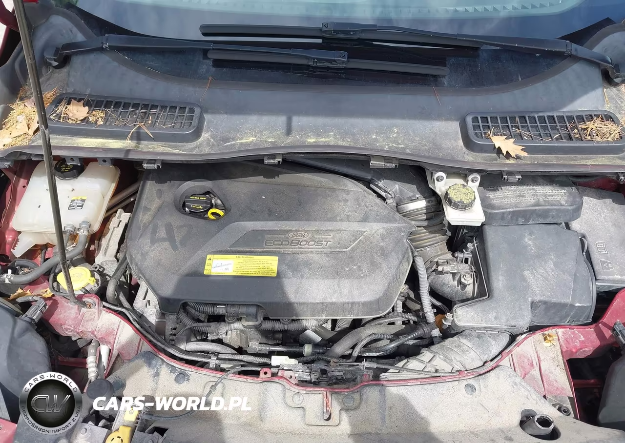 2013 Ford Escape Se VIN:1FMCU9GX0DUA76367 - 10