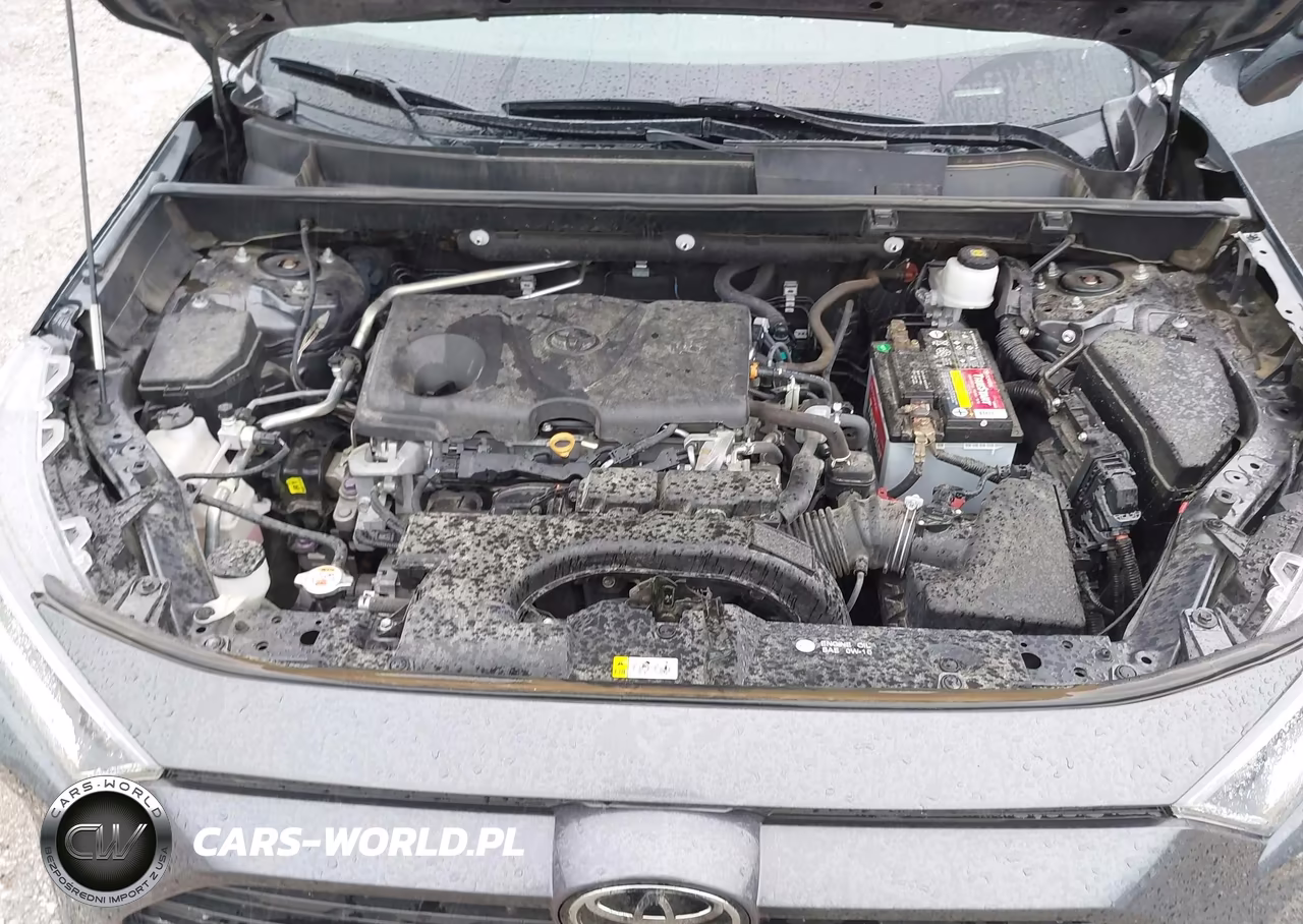 2019 Toyota Rav4 Xle Premium VIN:2T3A1RFV2KW079145 - 10