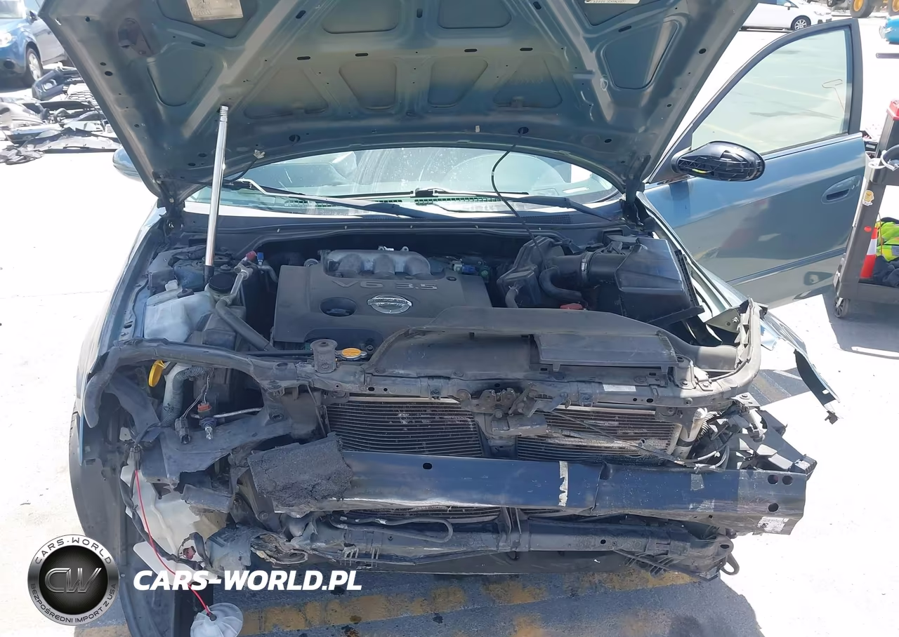 2002 Nissan Altima 3.5 Se VIN:1N4BL11EX2C289606 - 10