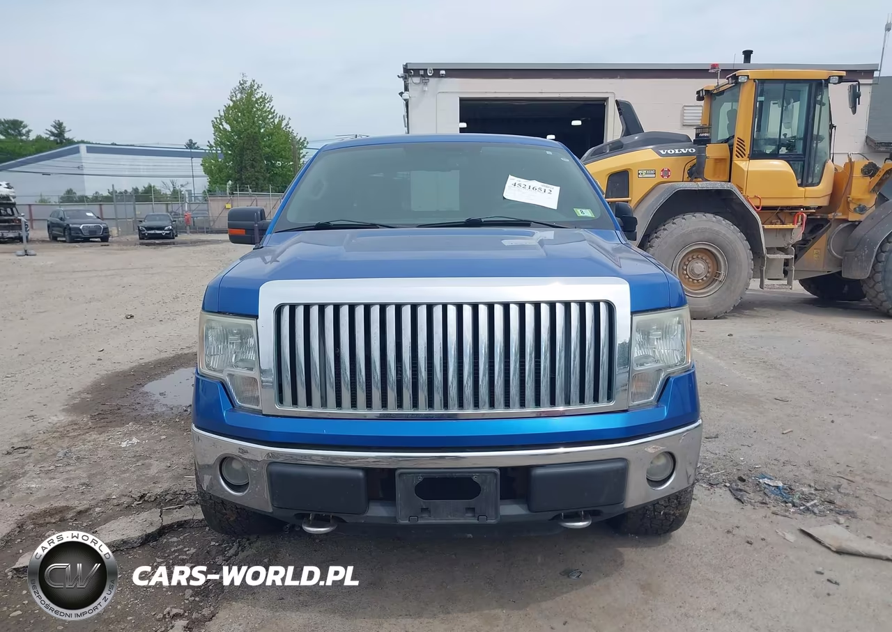 2010 Ford F-150 Fx4-Lariat-Xl-Xlt VIN:1FTFX1EV6AFD21846 - 12