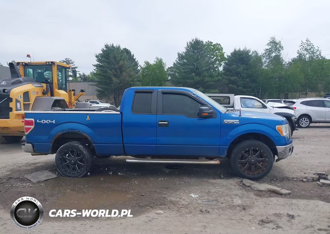2010 Ford F-150 Fx4-Lariat-Xl-Xlt VIN:1FTFX1EV6AFD21846 - 13