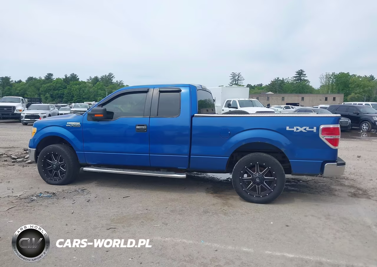2010 Ford F-150 Fx4-Lariat-Xl-Xlt VIN:1FTFX1EV6AFD21846 - 14